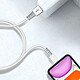 Acheter LinQ Câble USB vers Lightning Recharge Rapide 3A pour iPhone et iPad 1.2m Blanc