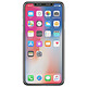 Avis Forcell Film iPhone X / XS Protection Ecran Verre Trempé Flexible Transparent