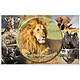 HERMA Sous-mains 'Animaux d'Afrique', (L)550 x (H)350 mm Sous-main