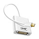 LinQ Adaptateur Mini DisplayPort vers DVI pour Écran et Moniteur, Full HD 1080p Connecte votre source vidéo Mini DisplayPort vers une sortie numérique DVI (écran, moniteur, etc)