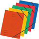 HERLITZ Pack 5 chemises A4 Colorspan Elastique easyorga A4 carton lustré Assorties Chemise à rabat