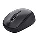 Avis Trust Souris sans Fil Optique TM-201 Compacte ECO Noir