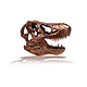 Acheter Jurassic Park - Réplique mini T-Rex Skull 10 cm