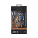 Avis Star Wars : The Mandalorian Black Series - Figurine Mandalorian Shriek-Hawk 15 cm