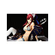 Avis Fairy Tail - Statuette 1/6 Erza Scarlet White Tiger CAT Gravure_Style 13 cm