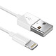 Acheter Avizar Chargeur secteur USB + câble iPod iPad Iphone - blanc