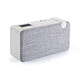 Thomson WS05 - Enceinte sans fil AUX-IN 3.5mm (câble inclus)  Rechargeable par USB (câble inclus)