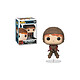 Harry Potter - Figurine POP! Ron on Broom 9 cm Figurine POP! Harry Potter, modèle Ron on Broom 9 cm.