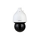 Dahua - Caméra IP 8 MP Zoom 25x Starlight IR WizSense PTZ Dahua - Caméra IP 8 MP Zoom 25x Starlight IR WizSense PTZ