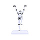 Original Stormtrooper - Figurine Crane Kick Stormtrooper 20 cm Figurine Original Stormtrooper, modèle Crane Kick Stormtrooper 20 cm.