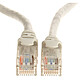 LM2 GROUP - Câble ethernet pour caméra ip numérique de 30 mètres LM2 GROUP - Câble ethernet pour caméra ip numérique de 30 mètres