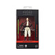 Avis Star Wars : The Acolyte Black Series - Figurine Jedi Master Indara 15 cm