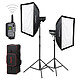 GODOX Kit éclairage ProKit 2 DP400III MATERIEL PROVENANCE GODOX FRANCE. Emballage securisé de vos commandes. Livré avec Facture dont TVA.