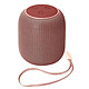 Avizar Mini Enceinte Bluetooth Radio FM et Slot Micro-SD Portable avec Dragonne  rose