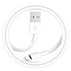Acheter Avizar Chargeur Secteur USB pour iPhone 1A 5W avec Câble USB-A vers Lightning 1m Blanc
