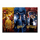 Harry Potter - Puzzle Harry, Ron & Hermione Puzzle Harry Potter, modèle Harry, Ron &amp; Hermione.