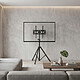 Pied TV