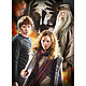 Harry Potter - Pack 3 Puzzles Characters pas cher