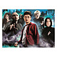 Harry Potter - Puzzle Harry vs. the Dark Arts (1000 pièces) pas cher