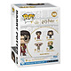 Avis Harry Potter et la Chambre des secrets - Figurine POP! Anniversary Harry 9 cm