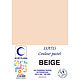 ELVE Paquet de 102 Chemises 160 g 240 x 320 mm ISATIS Coloris Pastel Beige Chemise/Sous-dossier