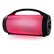 BIGBEN PARTYBTPRO - Enceinte sans fil lumineuse puissante Sans fil Aux-in 3.5mm Lecteur USB (MP3) / Lecteur micro SD