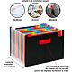 Avis VIQUEL Trieur Seatcase Rainbow 24 compartiments, en polypro 7/10e, 2 poignées, noir
