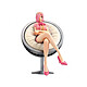 One Piece - Figurine DXF Grandline Men Vinsmoke Family Vol. 2 Reiju 11 cm Figurine One Piece, modèle DXF Grandline Men Vinsmoke Family Vol. 2 Reiju 11 cm.