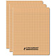CONQUÉRANT Cahier conquérant polypro agrafé 17X22 cm 96P 90G grands carreaux abricot x 3 Cahier