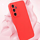 Acheter Avizar Coque pour Samsung Galaxy A55 5G Silicone Mat Toucher Doux