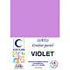 ELVE Paquet de 102 Sous-chemises 60 g 220 x 310 mm ISATIS Coloris Pastel Violet Chemise/Sous-dossier