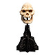 Le Seigneur des Anneaux - Statuette Skull of Lurtz 14 cm Statuette Le Seigneur des Anneaux, modèle Skull of Lurtz 14 cm.