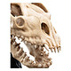 Avis Le Seigneur des Anneaux - Statuette Skull of a Fell Beast 21 cm