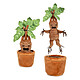 Harry Potter - Peluche sonore Mandrake 25 cm Peluche sonore Mandrake 25 cm.
