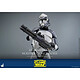Star Wars The Clone Wars - Figurine 1/6 104th Battalion Wolfpack Clone Trooper Deluxe Version 30 cm pas cher