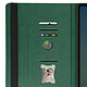 Avis Avizar Étui pour Samsung Tab S10 FE Plus Clapet Portefeuille Support Vidéo Vert foncé