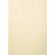 EXACOMPTA Pack de 100 feuilles EVERCOVER pour reliure A3 270 g Ivoire Couverture à relier