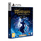 Mandragora Whispers of the Witch Tree Collector's Edition PS5 Mandragora: Whispers of the Witch Tree , un monde rongé par l’Entropie vous attend. Dans cet Action-RPG en 2,5D sombre et exigeant, reprenez ce qui v