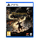 Mandragora Whispers of the Witch Tree PS5 Mandragora: Whispers of the Witch Tree , un monde rongé par l’Entropie vous attend. Dans cet Action-RPG en 2,5D sombre et exigeant, reprenez ce qui v
