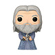 Harry Potter - Figurine POP! Dumbledore Horcruxes 9 cm Figurine POP! Harry Potter, modèle Dumbledore Horcruxes 9 cm.