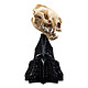 Le Seigneur des Anneaux - Statuette Skull of a Warg 20 cm pas cher