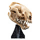 Avis Le Seigneur des Anneaux - Statuette Skull of a Warg 20 cm