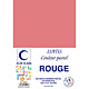 ELVE Paquet de 252 Sous-chemises 60 g 220 x 310 mm ISATIS Coloris Pastel Rouge Chemise/Sous-dossier