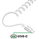 Acheter 4smarts Câble USB-C vers USB-C 100W 480 Mb/s Spiralé Rétractable 12 à 50cm Blanc