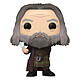 Harry Potter - Figurine POP! Abelforth Dumbledore avec Éclat de miroir Figurine POP! Abelforth Dumbledore avec Éclat de miroir.
