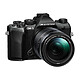 Appareil photo hybride