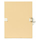 EXACOMPTA Chemises à sangle dos extensible 12 cm 24 x 32 Mastic x 10 Chemise extensible