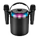 Ledwood Enceinte Karaoké Bluetooth 5.1 120W avec 2 Micros sans fil LED RVB Noir