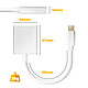 Acheter Avizar Câble Adaptateur HDMI / USB-C pour Smartphone PC Portable Vidéo Ultra HD 4K