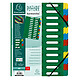 EXACOMPTA Trieur HARMONIKA® à fenêtres et élastique carte lustrée 24 comp Vert Trieur